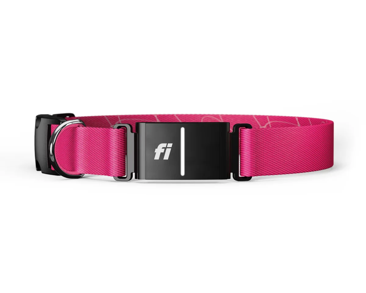 Fi Series 3+ tracker integrated into a pink collar